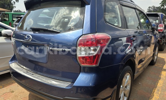 Buy New Subaru Forester Blue Car in Kampala in Uganda Buy New Subaru Forester Blue Car in Kampala in Uganda