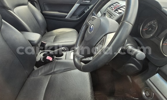 Buy New Subaru Forester Blue Car in Kampala in Uganda Buy New Subaru Forester Blue Car in Kampala in Uganda