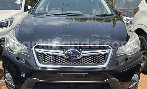 Nunua Mpya Subaru XV Nyeusi Gari ndani ya Kampala nchini Uganda Nunua Mpya Subaru XV Nyeusi Gari ndani ya Kampala nchini Uganda