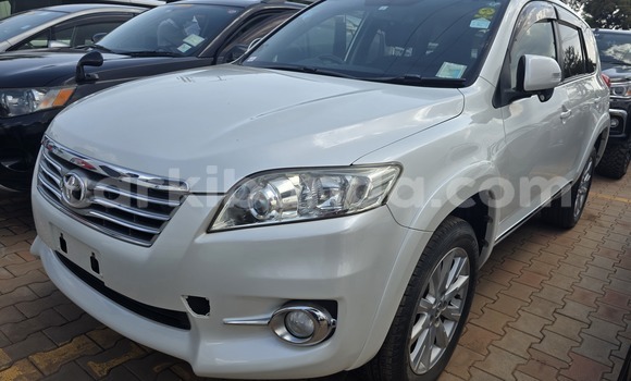Buy New Toyota Vanguard White Car in Kampala in Uganda Buy New Toyota Vanguard White Car in Kampala in Uganda