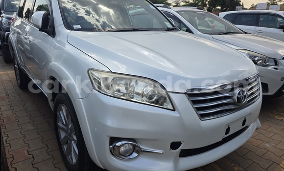 Buy New Toyota Vanguard White Car in Kampala in Uganda Buy New Toyota Vanguard White Car in Kampala in Uganda