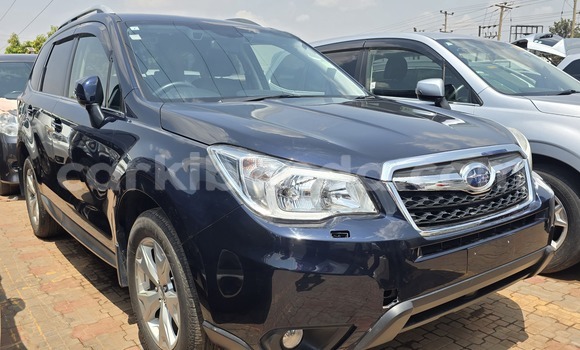 Nunua Mpya Subaru Forester Bluu Gari ndani ya Kampala nchini Uganda Nunua Mpya Subaru Forester Bluu Gari ndani ya Kampala nchini Uganda