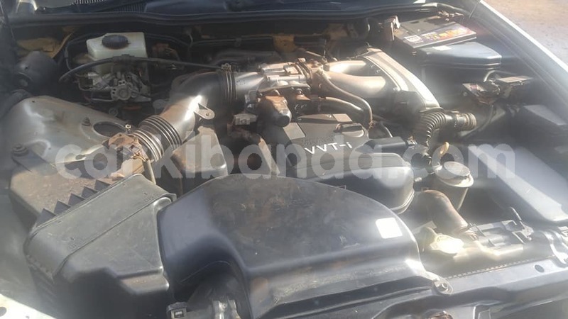 Big with watermark 50112129 266487307608621 2513673242556760064 n