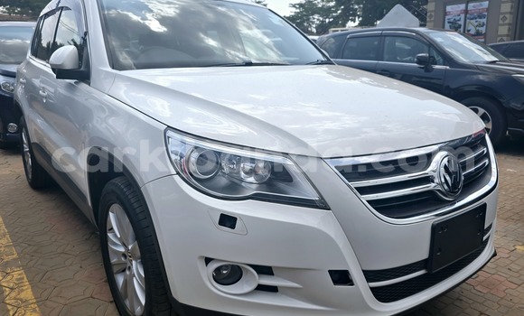 Nunua Mpya Volkswagen Tiguan Nyeupe Gari ndani ya Kampala nchini Uganda Nunua Mpya Volkswagen Tiguan Nyeupe Gari ndani ya Kampala nchini Uganda