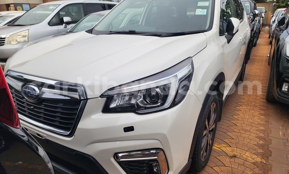 Buy Used Subaru Forester White Car in Kampala in Uganda