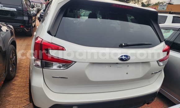 Gura Yakoze Subaru Forester White Imodoka i Kampala mu Uganda Gura Yakoze Subaru Forester White Imodoka i Kampala mu Uganda