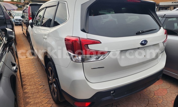 Gura Yakoze Subaru Forester White Imodoka i Kampala mu Uganda Gura Yakoze Subaru Forester White Imodoka i Kampala mu Uganda