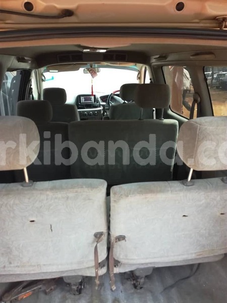 Big with watermark 49807989 265904891000196 8656731778813263872 n