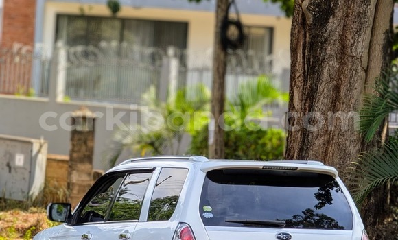Nunua Ilio tumika Subaru Forester Nyeupe Gari ndani ya Kampala nchini Uganda Nunua Ilio tumika Subaru Forester Nyeupe Gari ndani ya Kampala nchini Uganda