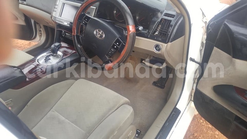 Big with watermark 49841055 265502434373775 2308655925029765120 n