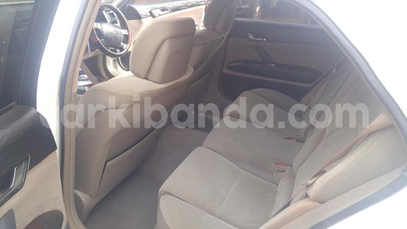 Big with watermark 49938853 265502421040443 4047401867775311872 n