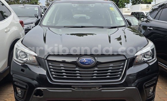 Buy New Subaru Forester Black Car in Kampala in Uganda Buy New Subaru Forester Black Car in Kampala in Uganda