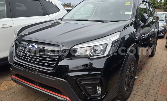Buy New Subaru Forester Black Car in Kampala in Uganda Buy New Subaru Forester Black Car in Kampala in Uganda