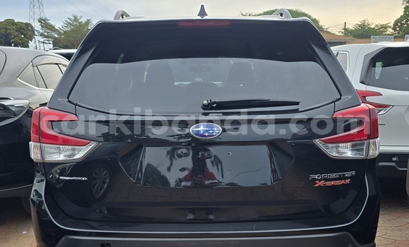 Buy New Subaru Forester Black Car in Kampala in Uganda Buy New Subaru Forester Black Car in Kampala in Uganda