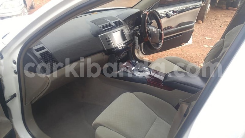 Big with watermark 50217130 265502404373778 5883612936433303552 n