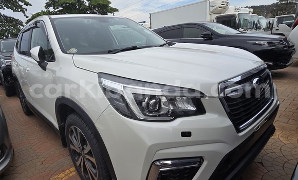 Buy New Subaru Forester White Car in Kampala in Uganda Buy New Subaru Forester White Car in Kampala in Uganda