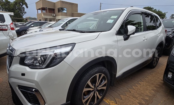 Buy New Subaru Forester White Car in Kampala in Uganda Buy New Subaru Forester White Car in Kampala in Uganda