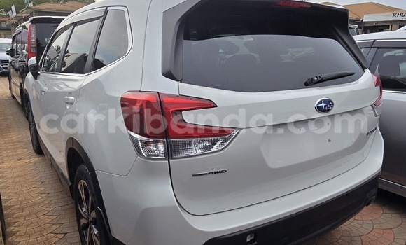 Buy New Subaru Forester White Car in Kampala in Uganda Buy New Subaru Forester White Car in Kampala in Uganda