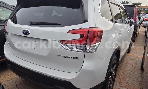 Buy New Subaru Forester White Car in Kampala in Uganda Buy New Subaru Forester White Car in Kampala in Uganda