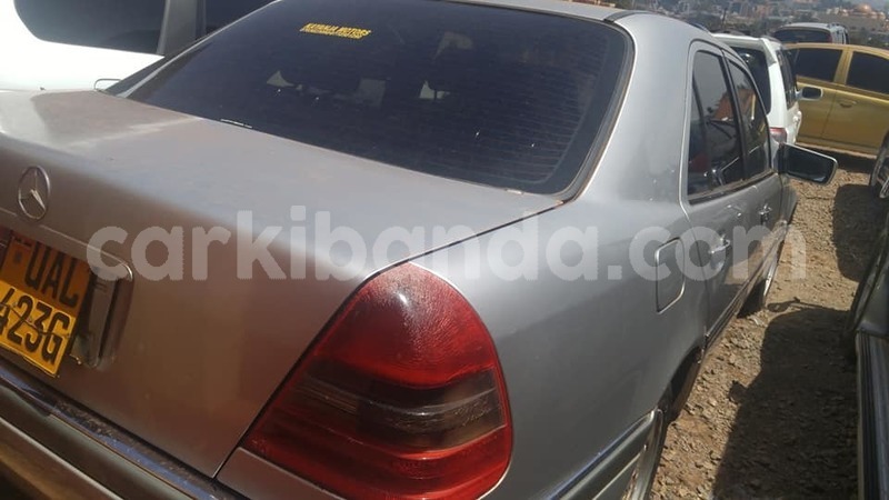 Big with watermark 50860038 265152061075479 8367874930141822976 n