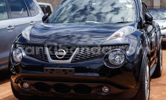 Nunua Ilio tumika Nissan Juke Nyeusi Gari ndani ya Kampala nchini Uganda Nunua Ilio tumika Nissan Juke Nyeusi Gari ndani ya Kampala nchini Uganda