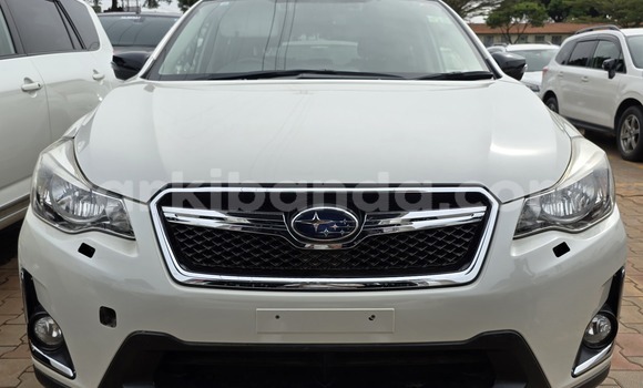 Nunua Mpya Subaru XV Nyeupe Gari ndani ya Kampala nchini Uganda Nunua Mpya Subaru XV Nyeupe Gari ndani ya Kampala nchini Uganda