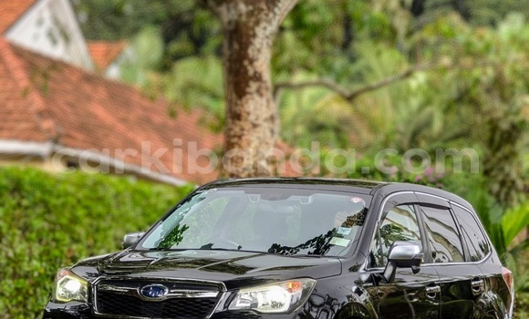 Nunua Imported Subaru Forester Nyeusi Gari ndani ya Kampala nchini Uganda Nunua Imported Subaru Forester Nyeusi Gari ndani ya Kampala nchini Uganda