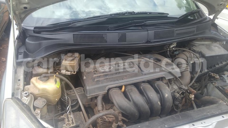 Big with watermark 49175167 265098217747530 4305427774748753920 n