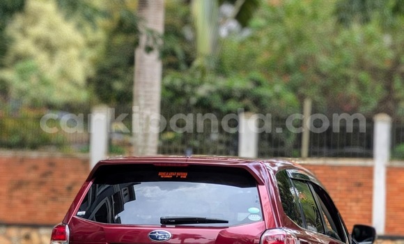 Nunua Imported Subaru Forester Nyingine Gari ndani ya Kampala nchini Uganda Nunua Imported Subaru Forester Nyingine Gari ndani ya Kampala nchini Uganda