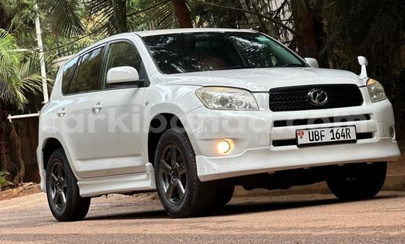 Buy Used Toyota RAV4 White Car in Kampala in Uganda
