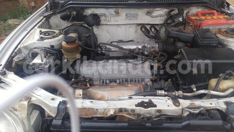 Big with watermark 49948129 264650071125678 6398079989052342272 n