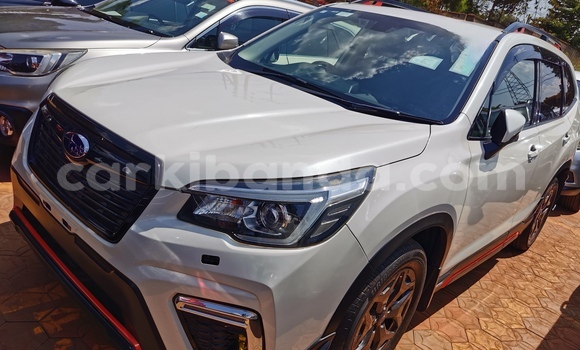 Buy Import Subaru Forester Silver Car in Kampala in Uganda