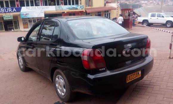 Buy Used Toyota Echo Black Car in Kampala in Uganda Buy Used Toyota Echo Black Car in Kampala in Uganda