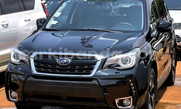 Nunua Ilio tumika Subaru Forester Nyeusi Gari ndani ya Kampala nchini Uganda Nunua Ilio tumika Subaru Forester Nyeusi Gari ndani ya Kampala nchini Uganda