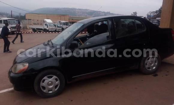 Buy Used Toyota Echo Black Car in Kampala in Uganda Buy Used Toyota Echo Black Car in Kampala in Uganda