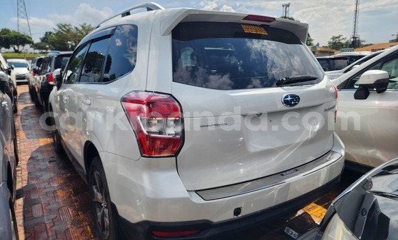 Buy Used Subaru Forester White Car in Kampala in Uganda Buy Used Subaru Forester White Car in Kampala in Uganda