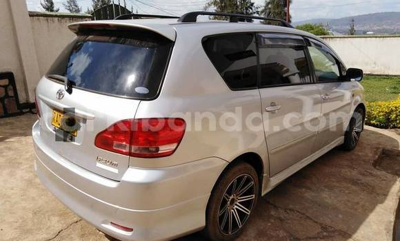 Buy Used Toyota Ipsum Silver Car in Kampala in Uganda Buy Used Toyota Ipsum Silver Car in Kampala in Uganda