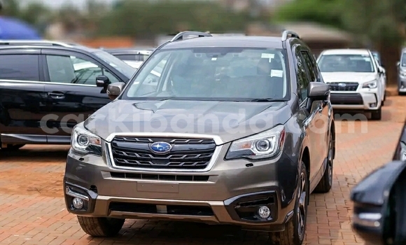 Nunua Ilio tumika Subaru Forester Nyingine Gari ndani ya Kampala nchini Uganda Nunua Ilio tumika Subaru Forester Nyingine Gari ndani ya Kampala nchini Uganda