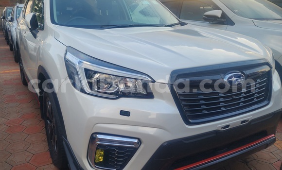 Gura Yakoze Subaru Forester White Imodoka i Kampala mu Uganda Gura Yakoze Subaru Forester White Imodoka i Kampala mu Uganda