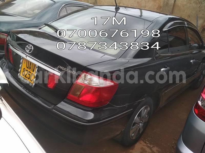 Big with watermark 50480629 1153520221492699 8268384280472715264 n