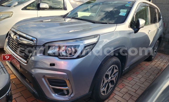Buy Used Subaru Forester Silver Car in Kampala in Uganda Buy Used Subaru Forester Silver Car in Kampala in Uganda