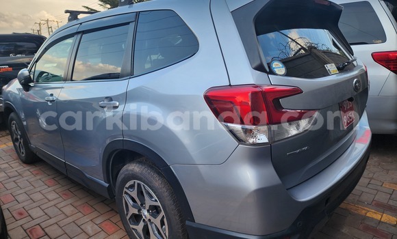 Gura Yakoze Subaru Forester Silver Imodoka i Kampala mu Uganda Gura Yakoze Subaru Forester Silver Imodoka i Kampala mu Uganda