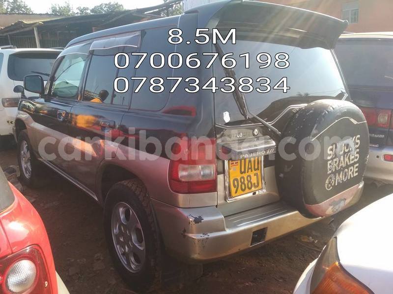 Big with watermark 50632940 1153520394826015 4801260488983838720 n