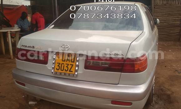 Buy Used Toyota Corolla Silver Car in Kampala in Uganda Buy Used Toyota Corolla Silver Car in Kampala in Uganda