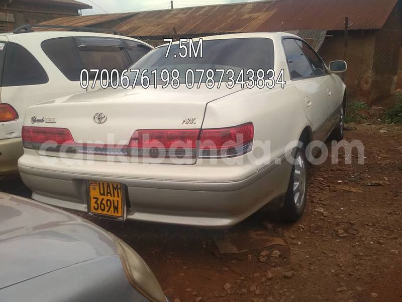 Big with watermark 50635361 1150928825085172 6680236212000653312 n