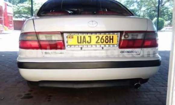 Nunua Ilio tumika Toyota Corolla Nyingine Gari ndani ya Kampala nchini Uganda Nunua Ilio tumika Toyota Corolla Nyingine Gari ndani ya Kampala nchini Uganda