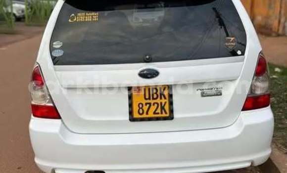 Acheter Occasion Voiture Subaru Ascent Autre à Kampala, Ouganda Acheter Occasion Voiture Subaru Ascent Autre à Kampala, Ouganda