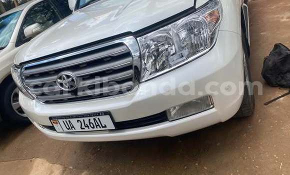 Gura Yakoze Toyota Venza Other Imodoka i Kampala mu Uganda Gura Yakoze Toyota Venza Other Imodoka i Kampala mu Uganda