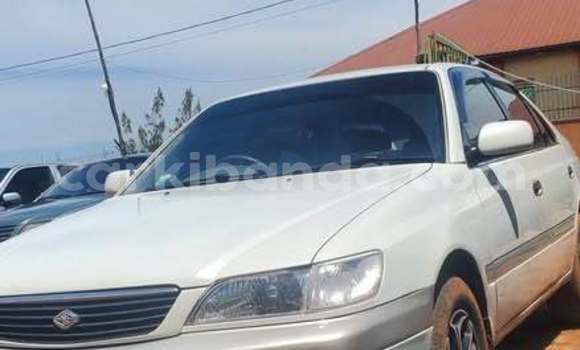 Gura Yakoze Toyota Premio Other Imodoka i Kampala mu Uganda Gura Yakoze Toyota Premio Other Imodoka i Kampala mu Uganda