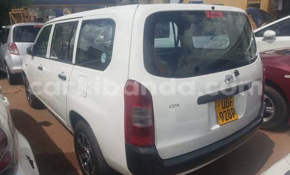 Acheter Occasion Voiture Toyota Probox Autre à Kampala, Ouganda Acheter Occasion Voiture Toyota Probox Autre à Kampala, Ouganda